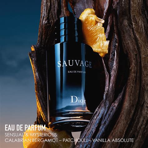 sauvage eau de parfum fragrantica